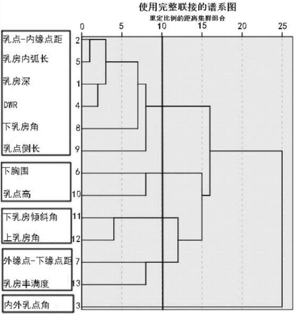 一種基于因子分析和系統(tǒng)聚類的乳房形態(tài)分類方法與流程