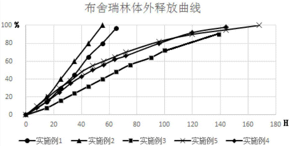 一種長(zhǎng)效的藥用組合物及制備方法與流程