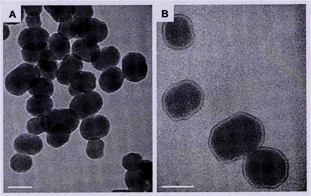 载姜黄素甘草次酸修饰介孔二氧化硅纳米粒及其制备方法与流程