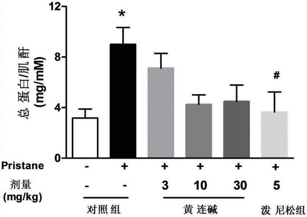 黃連堿在制備預(yù)防和/或治療系統(tǒng)性紅斑狼瘡及其并發(fā)癥藥物中的應(yīng)用的制作方法與工藝