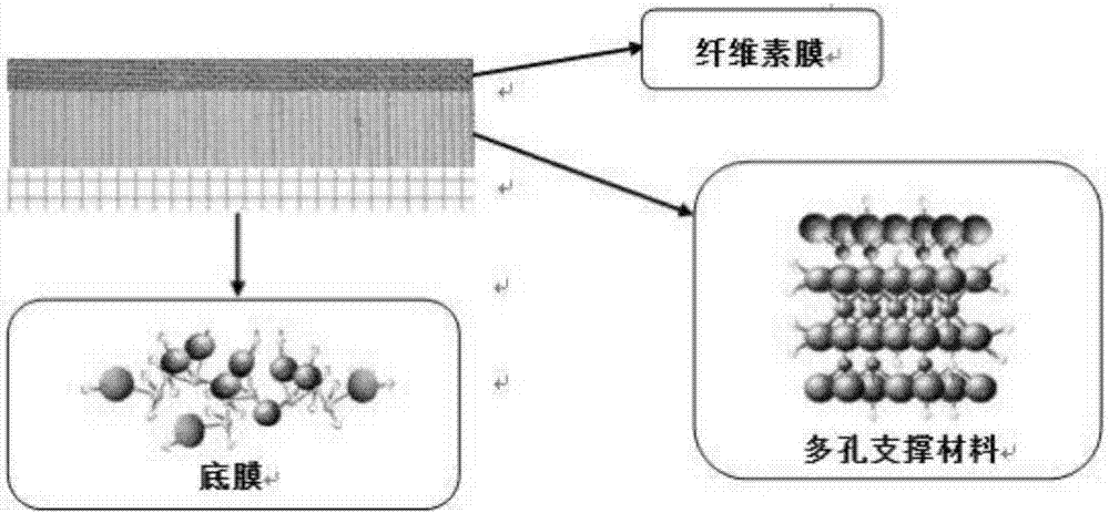 一种以凹凸棒为多孔支撑材料的双皮层正渗透膜材料制备方法与流程