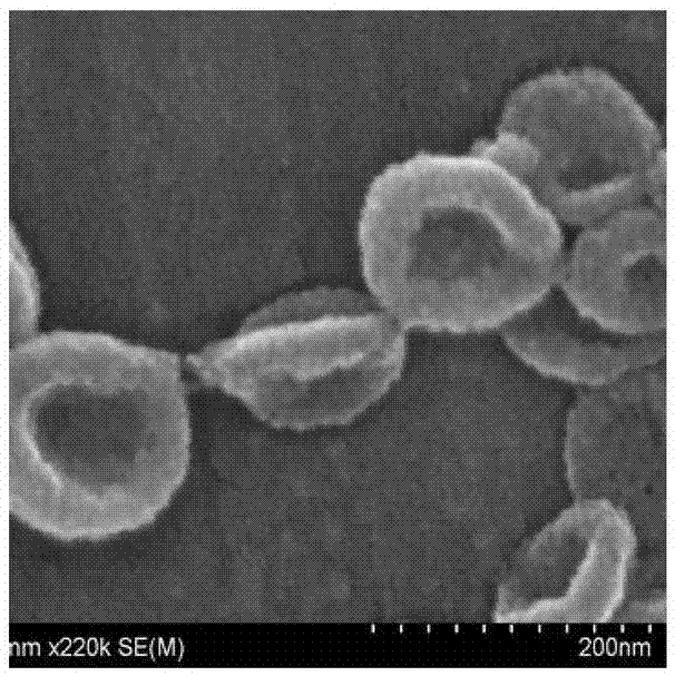 一种类红细胞形状的介孔氧化硅纳米材料及其制备方法与流程