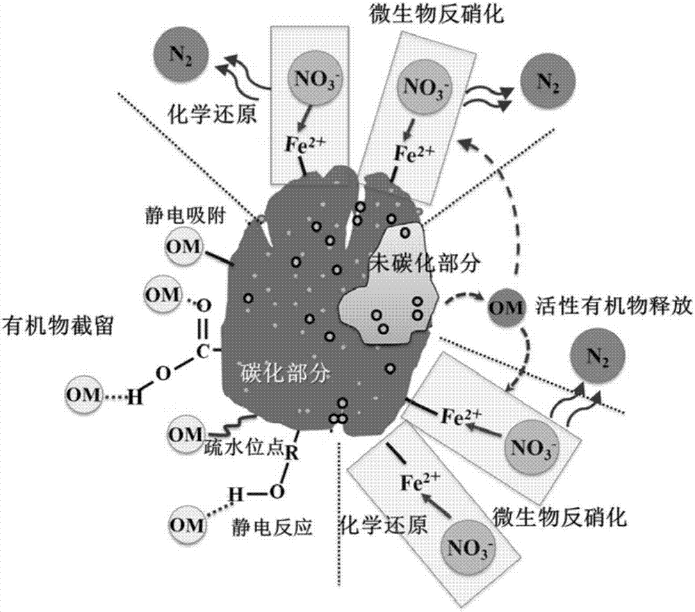 一种利用强泌碳型改性生物炭强化人工湿地脱氮的方法与流程