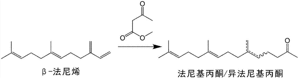 制造6,10,14?三甲基十五烷?2?酮的方法與流程