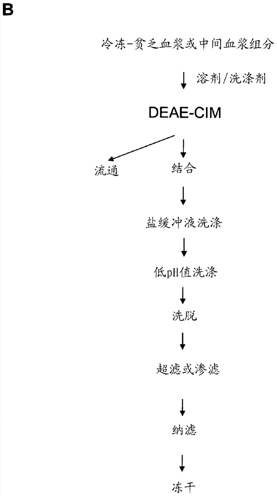 來自血液的間?α抑制物蛋白的制備和組合物的制作方法與工藝