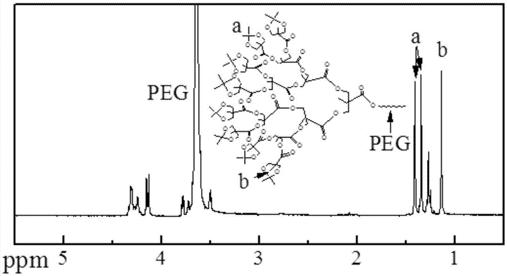 一种PLA-PEG-PLA树枝状聚合物的制备方法及其应用与流程
