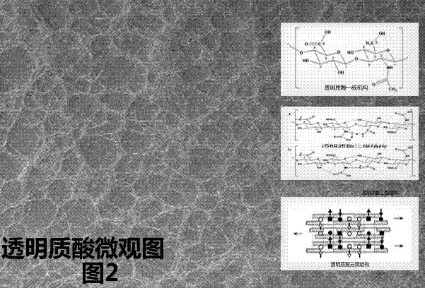 一種新型的氣凝膠多功能材料及其制備方法與流程