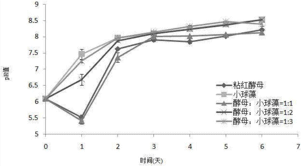 一種小球藻和酵母共培養(yǎng)凈化酵母廢水的方法與流程