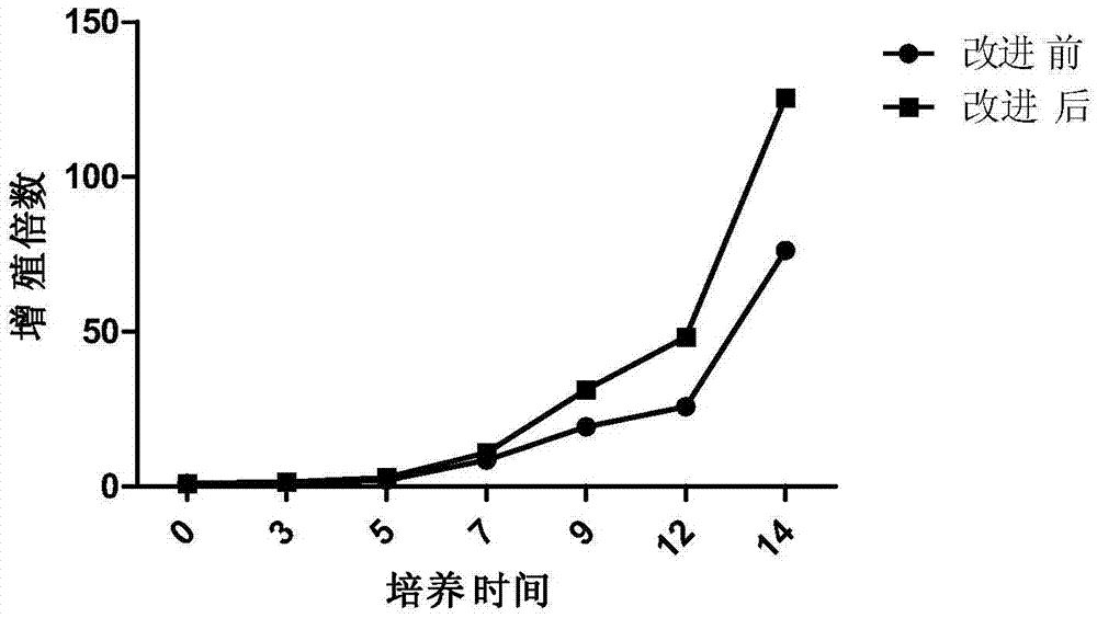 人CD3+CD56+CIK細(xì)胞的制備方法及其應(yīng)用與流程