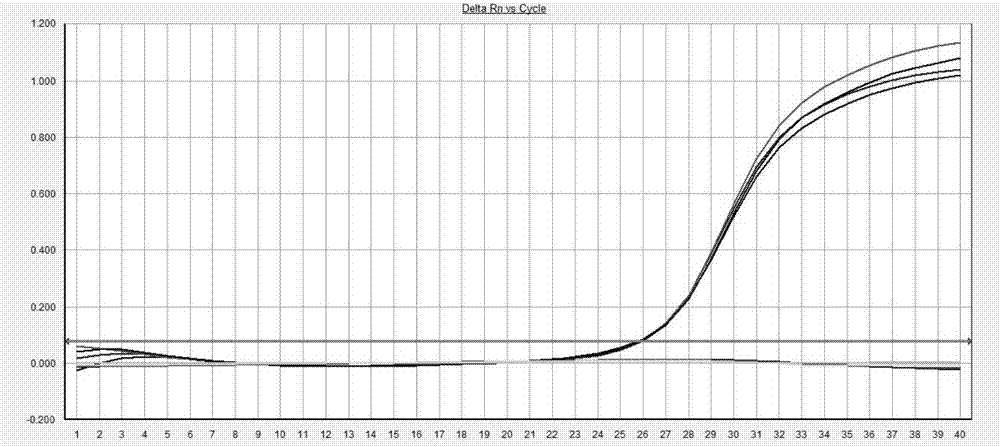 一種I?IV型登革熱病毒的即時(shí)恒溫檢測(cè)試劑盒的制作方法與工藝