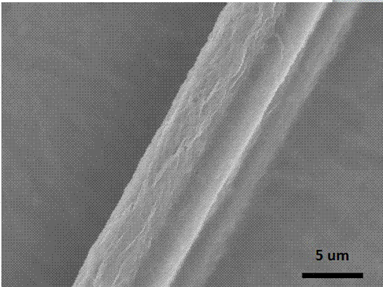 一种基于Langmuir‑Blodgett技术在分子水平涂层碳纤维的方法与流程