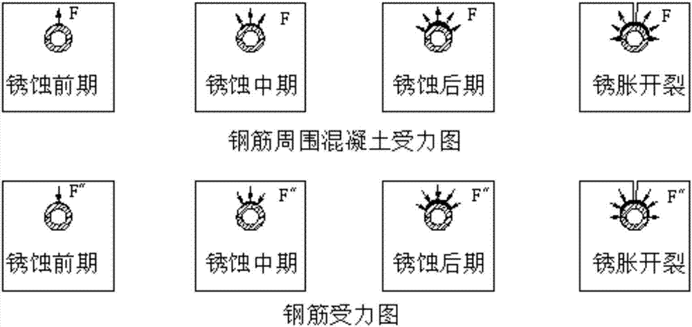 外滲電加速鋼筋銹蝕測試裝置及搭建方法與流程