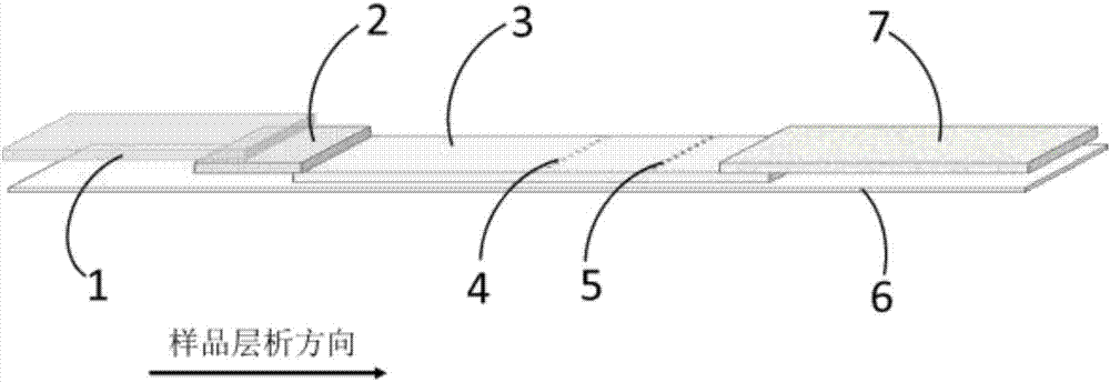 檢測(cè)人表面活性蛋白A的膠體金試紙條及其制備方法和應(yīng)用與流程
