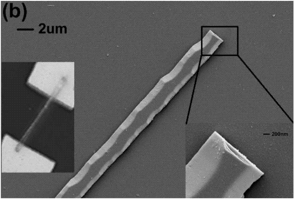 一种硅掺杂氮化镓纳米带紫外光探测器及其制备方法与流程