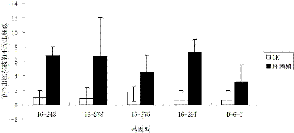 一種促進茄子花粉胚增殖的方法與流程