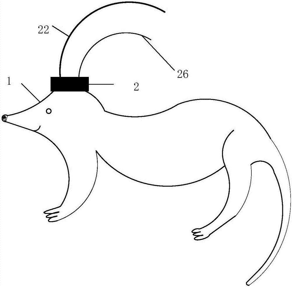 一種應(yīng)用于大鼠的腦電與近紅外光譜聯(lián)合采集裝置的制作方法