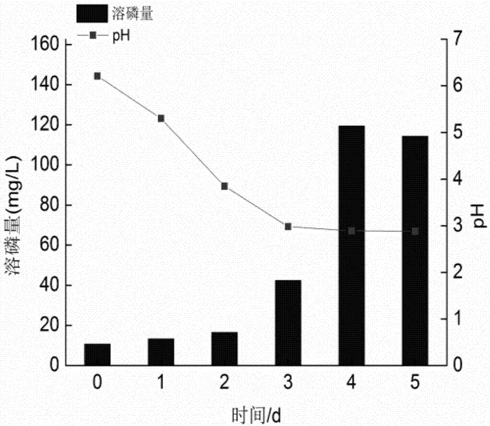 一种以植物生物质为培养基质制备解磷菌PA02固体菌剂的方法与流程