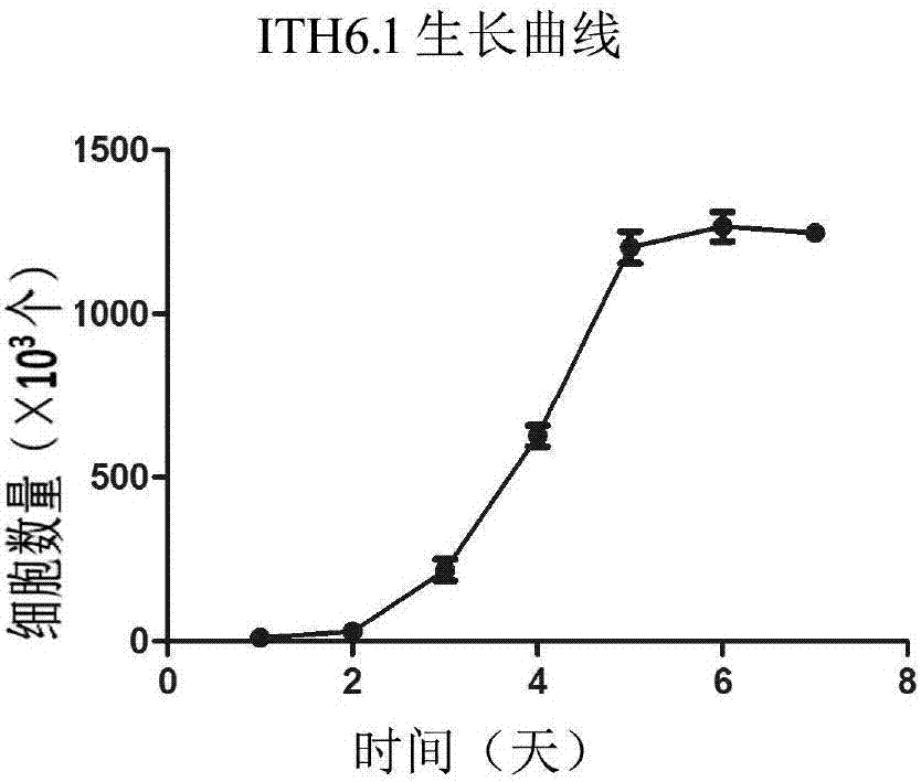 樹鼩肝細胞永生化細胞系及其構建方法與應用與流程