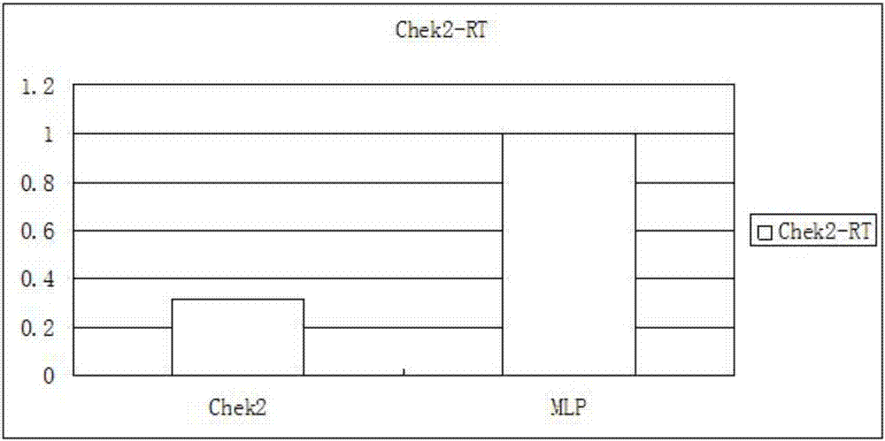 PARP1抑制剂耐药细胞株的建立方法及其应用与流程