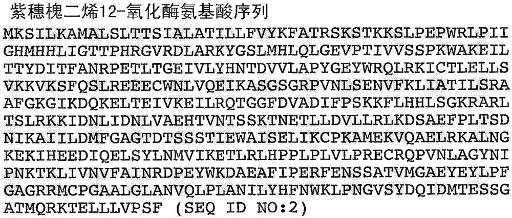 編碼類異戊烯修飾酶的多核苷酸和其使用方法與流程