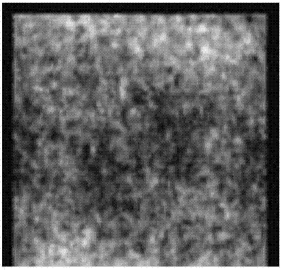 云環(huán)境下一種基于DFT密文域醫(yī)學(xué)圖像檢索方法與流程