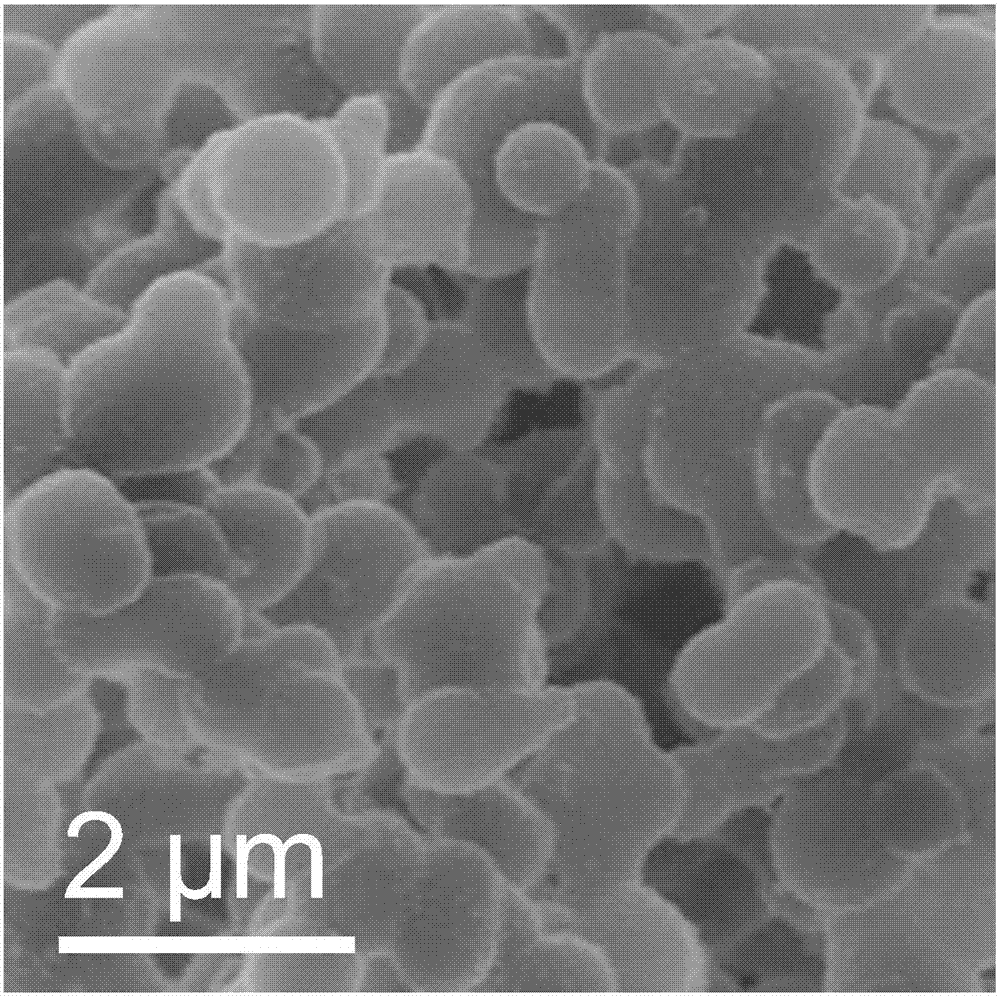 一种作为锂离子电池负极的SnO2/C纳米实心球及其制备方法与流程