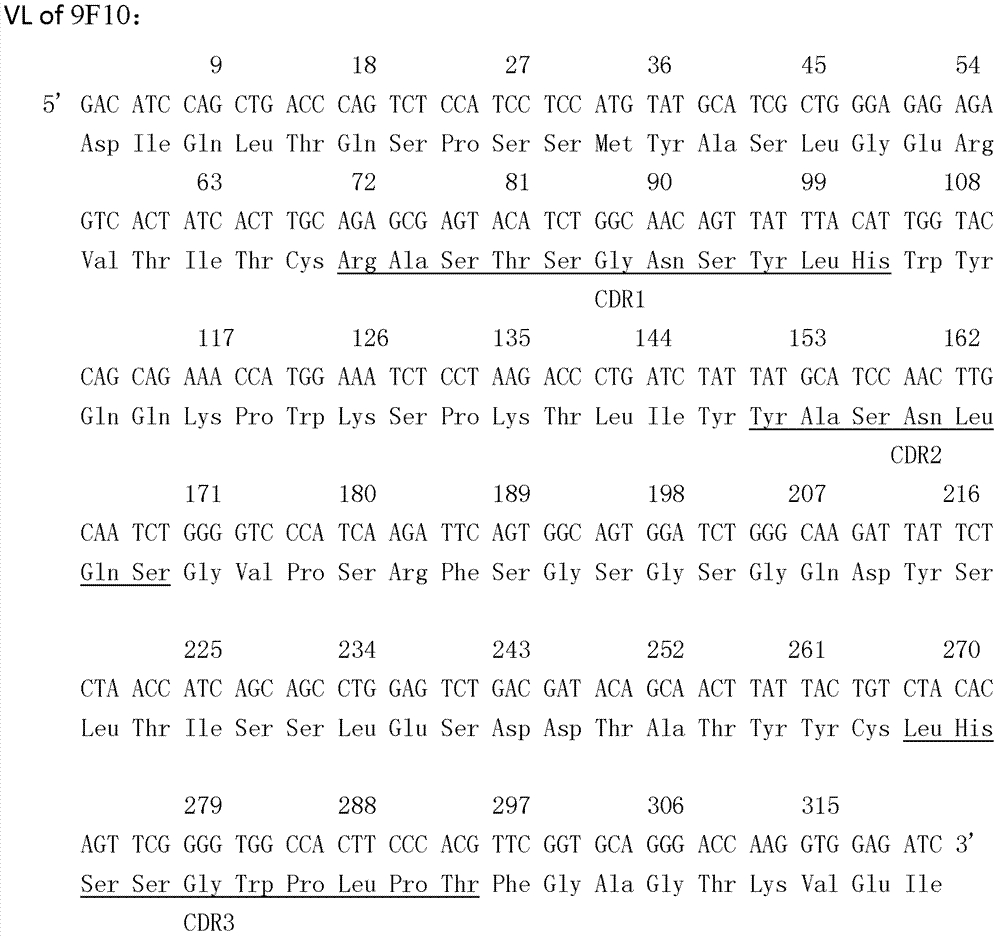 一种抗Mac‑2BP人源化抗体的制备的制作方法与工艺