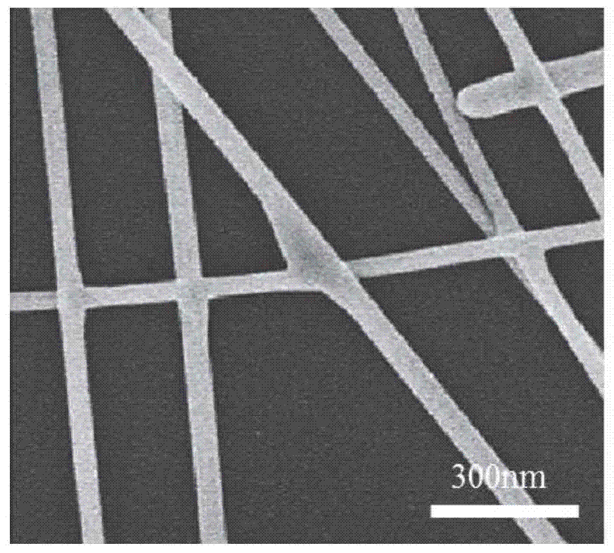 一种高度稳定的银纳米线复合薄膜的封装制备方法与流程