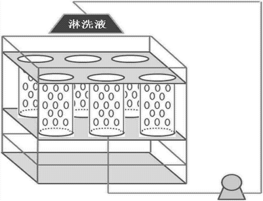 一种重金属污染土壤的原位修复方法与流程