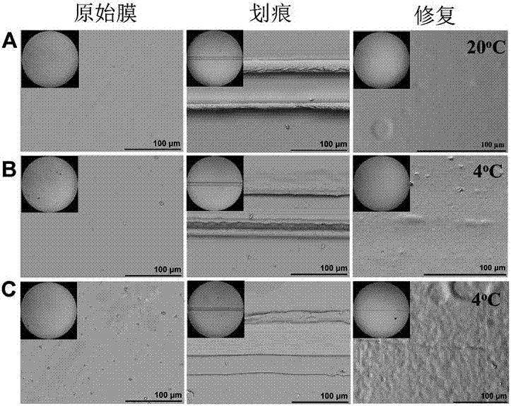 一种温敏型自修复复合物多层膜及其制备方法与流程