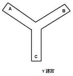 八氢蒽类化合物及其制备方法和用途与流程