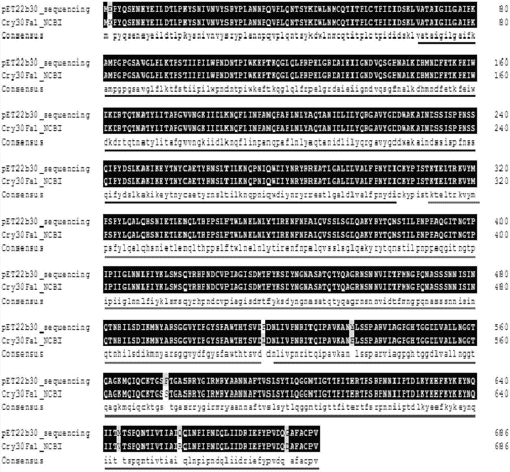 一种抗水稻褐飞虱的杀虫蛋白Cry30T及其编码基因与应用的制作方法与工艺