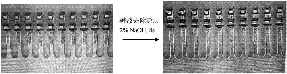 電泳涂料及其制備方法、電泳涂布方法和選擇性電鍍方法與流程