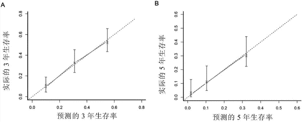 肝門部膽管癌患者預后預測模型的制作方法與工藝