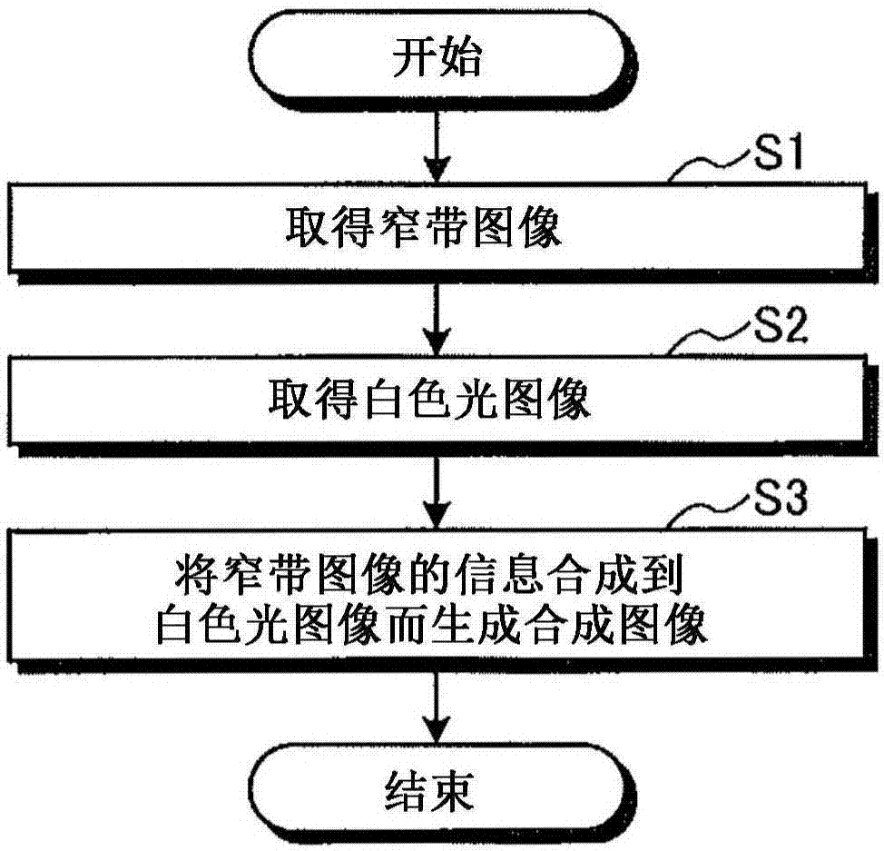 圖像處理裝置、圖像處理方法以及圖像處理程序與流程