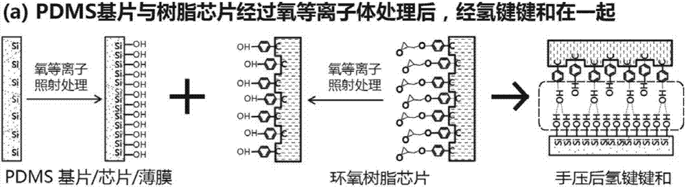 一種硬質(zhì)微流體芯片的制作方法與流程