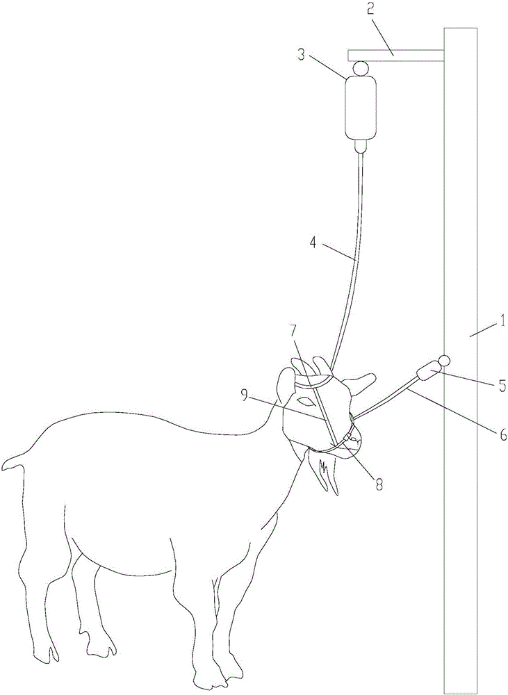 用于羊只的保定裝置的制作方法
