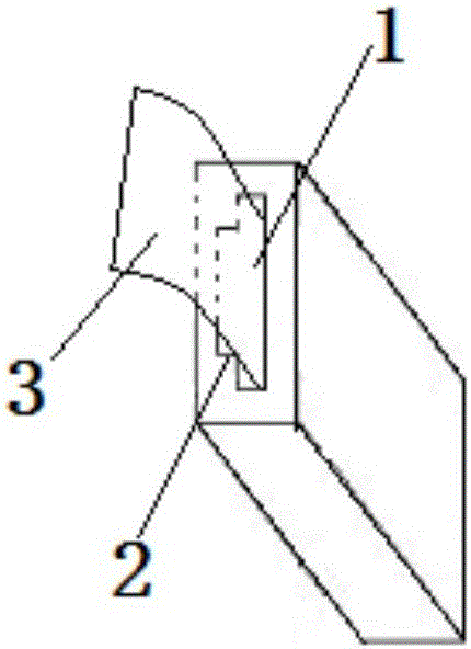 一种离子导入仪的制作方法与工艺