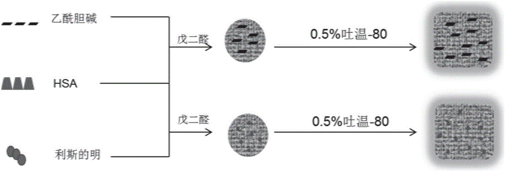 一種可緩釋、靶向應(yīng)用于神經(jīng)退行性疾病的納米藥物的制作方法與工藝