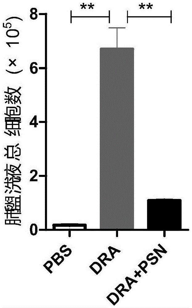 原百部碱在制备抗哮喘药物中的用途的制作方法与工艺