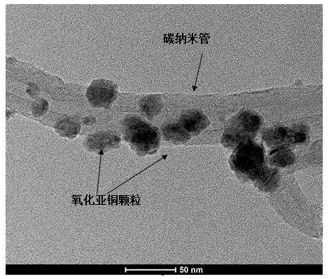 一种碳纳米管与氧化亚铜复合粉体的制备方法与流程