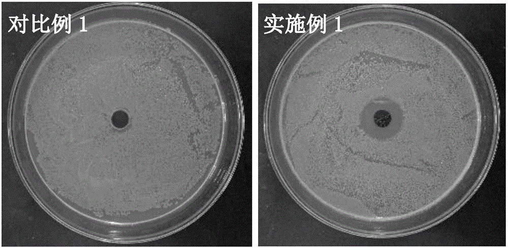 一種抗菌性聚乙烯醇/纖維素?氧化石墨烯PVA/CNC?GO復合膜的制備方法與流程