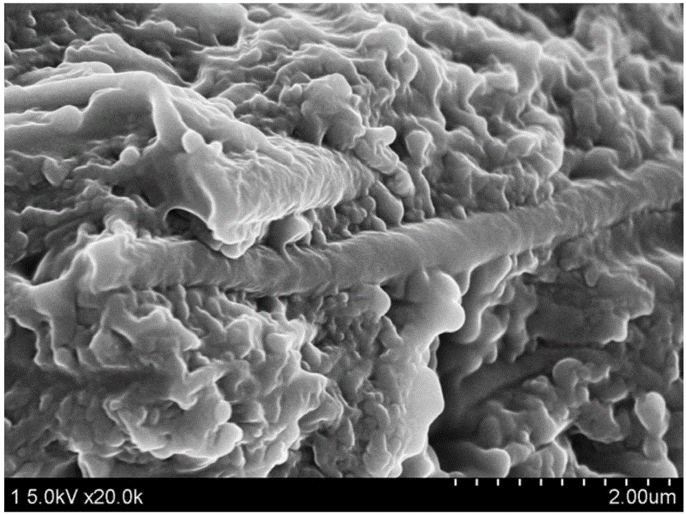 高透明度、高纳米纤维填充量协同增强的复合材料的制备方法与流程