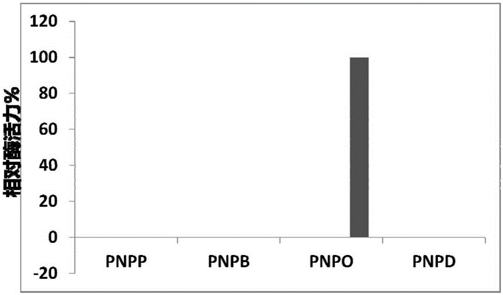 一种新型的脂肪酶BM19的制作方法与工艺