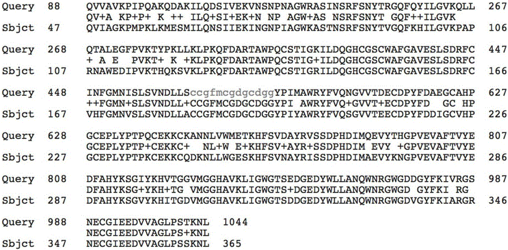 百子莲组织蛋白酶B及其编码基因和探针及应用的制作方法与工艺