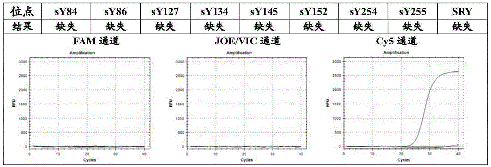 一种快速检测人Y染色体AZF区微缺失的方法、试剂盒及其制备与流程