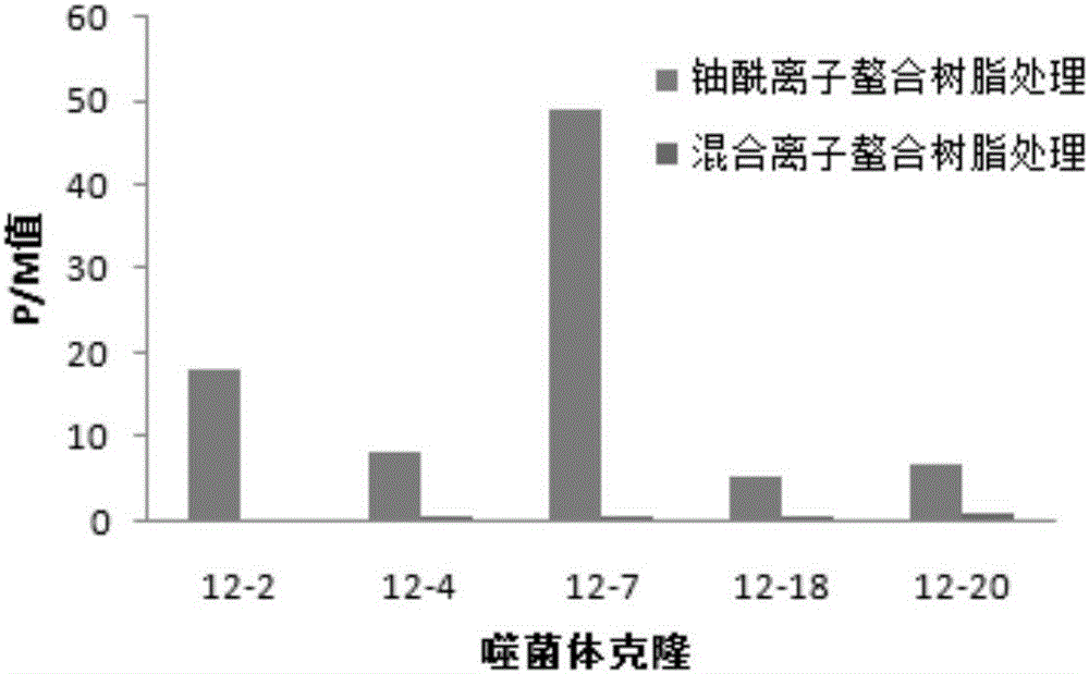 鈾酰離子結(jié)合十二肽的制作方法與工藝