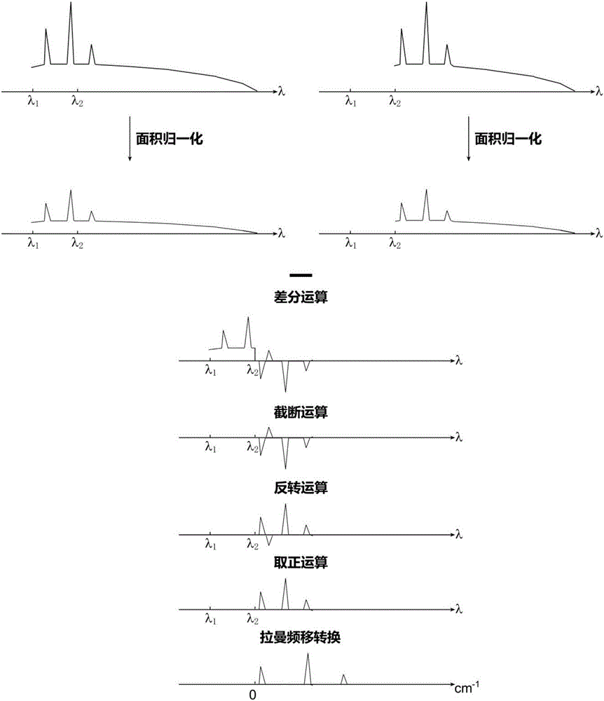 一種雙波長(zhǎng)激光拉曼光譜檢測(cè)方法與流程