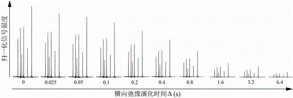 一种无J偶合效应干扰的核磁共振横向弛豫测量方法与流程