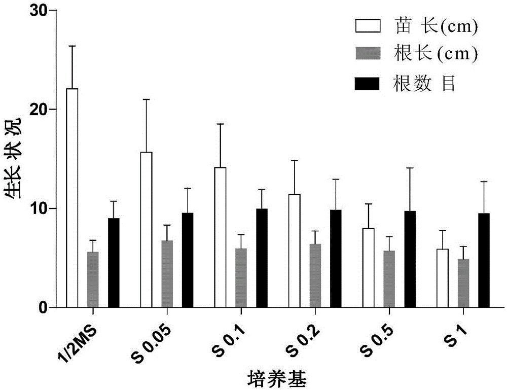 一种植物生根壮苗培养基及其制备方法和应用与流程